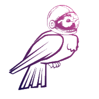 AstroBirdz|ABZ_ABZ币价格_ABZ最新价格_ABZ交易所