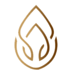 Anow|ANOW_ANOW币价格_ANOW最新价格_ANOW交易所