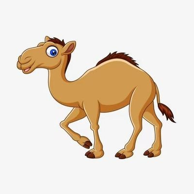 骆驼币|CAMEL_CAMEL币价格_CAMEL最新价格_CAMEL交易所