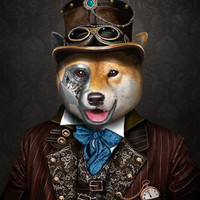 RoboDoge Coin|ROBODOGE_ROBODOGE币价格_ROBODOGE最新价格_ROBODOGE交易所