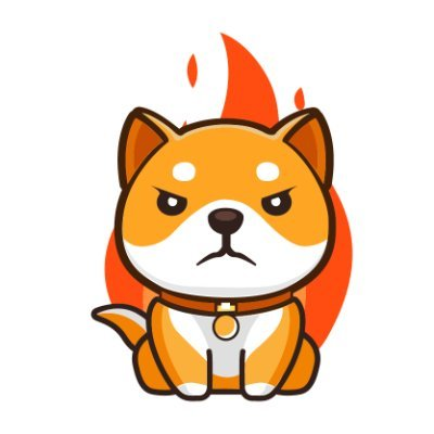 BurnDoge|BURNDOGE_BURNDOGE币价格_BURNDOGE最新价格_BURNDOGE交易所