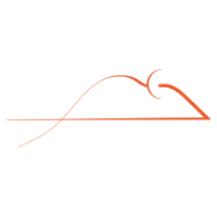 Mouse|MOUSE_MOUSE币价格_MOUSE最新价格_MOUSE交易所