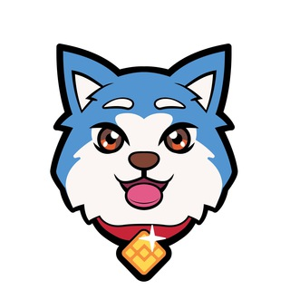 Ginga Finance|GIN_GIN币价格_GIN最新价格_GIN交易所