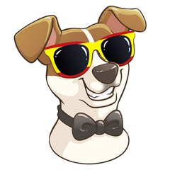Jack Raffle|JACKR_JACKR币价格_JACKR最新价格_JACKR交易所