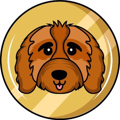 Cavapoo|CAVA_CAVA币价格_CAVA最新价格_CAVA交易所