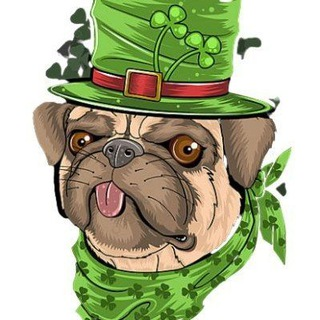 SaintPatrick|SPT_SPT币价格_SPT最新价格_SPT交易所