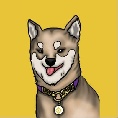 KIKU INU|KINU_KINU币价格_KINU最新价格_KINU交易所