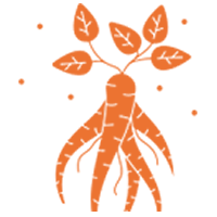 Ginseng|GINS_GINS币价格_GINS最新价格_GINS交易所