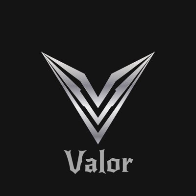 ValorFoundation|VALOR_VALOR币价格_VALOR最新价格_VALOR交易所
