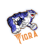 Tigra Coin|TIGC_TIGC币价格_TIGC最新价格_TIGC交易所