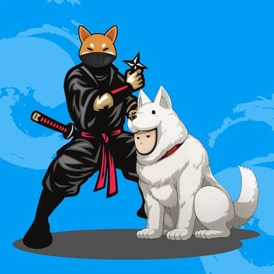 Shintama|SHINTAMA_SHINTAMA币价格_SHINTAMA最新价格_SHINTAMA交易所