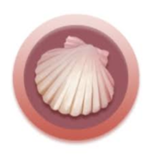 Meta Apes Shell|SHELL_SHELL币价格_SHELL最新价格_SHELL交易所