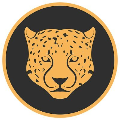 Kitty Kat Coin|KATS_KATS币价格_KATS最新价格_KATS交易所