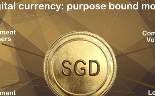 新加坡金管局MAS：目的绑定货币（PBM）技术白皮书_DEFI:数字货币