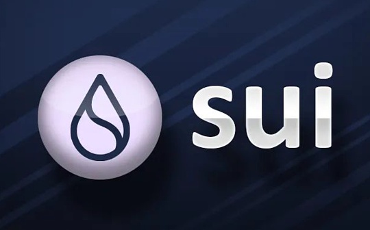 Sui主网上线满月 链上持币者数据分析_SUIA:STE