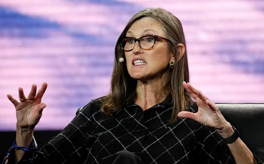 Cathie Wood 最新专访：改变华尔街的投资者正在押注比特币和人工智能_WOO:woo币创始人