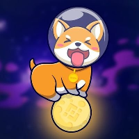 ShibaMoon|SHIBM_SHIBM价格_SHIBM最新价格_SHIBM交易所