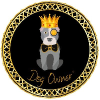 Dog Owner|DOGOWN_DOGOWN价格_DOGOWN最新价格_DOGOWN交易所
