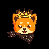 KINGDOGE|KDOGE_KDOGE价格_KDOGE最新价格_KDOGE交易所