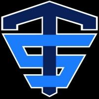 TeslaSafe|TESLASAFE_TESLASAFE价格_TESLASAFE最新价格_TESLASAFE交易所