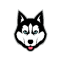 Balto Token|BALTO_BALTO价格_BALTO最新价格_BALTO交易所