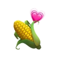 CORN_CORN币价格_CORN最新价格_CORN交易所
