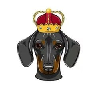 DogeKing|DOGEKING_DOGEKING价格_DOGEKING最新价格_DOGEKING交易所