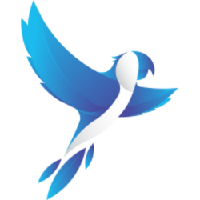 Parrotly|PBIRB_PBIRB价格_PBIRB最新价格_PBIRB交易所