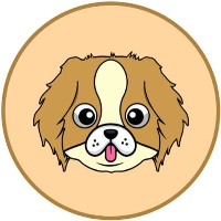 Chin|CHIN_CHIN价格_CHIN最新价格_CHIN交易所