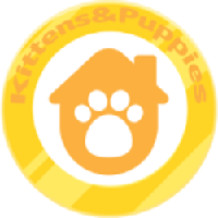 Kittens & Puppies|KAP_KAP价格_KAP最新价格_KAP交易所