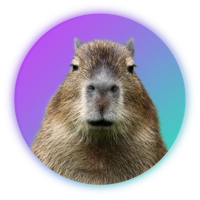 Capybara|CAPY_CAPY价格_CAPY最新价格_CAPY交易所