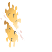 Covid Cutter|CVC_CVC价格_CVC最新价格_CVC交易所