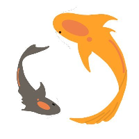 The Golden Koi|DRAGON_DRAGON价格_DRAGON最新价格_DRAGON交易所