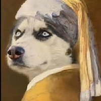 Husky Brother|HUSKY_HUSKY价格_HUSKY最新价格_HUSKY交易所