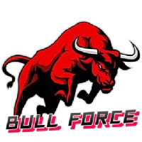 Bull Force Token|BFT_BFT价格_BFT最新价格_BFT交易所