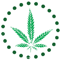 Primo DAO|PRIMO_PRIMO价格_PRIMO最新价格_PRIMO交易所