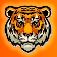 TIGER COIN|TIGER_TIGER价格_TIGER最新价格_TIGER交易所