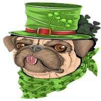 SaintPatrick|SPT_SPT价格_SPT最新价格_SPT交易所
