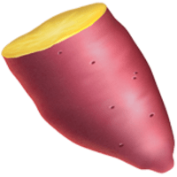 YAM V1|YAM_YAM价格_YAM最新价格_YAM交易所