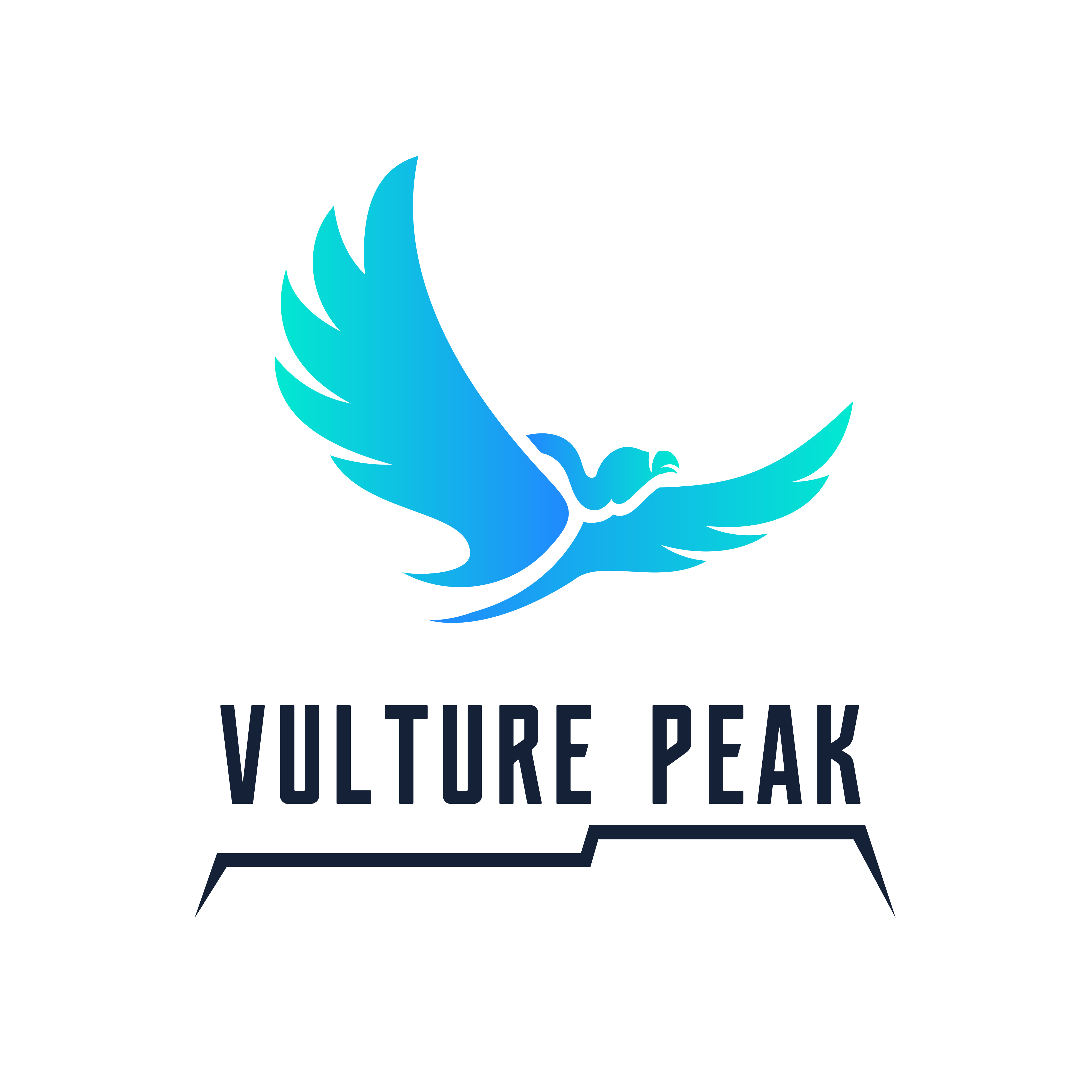 Vulture Peak|VPK_VPK价格_VPK最新价格_VPK交易所