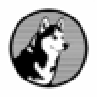 Husky Avax|HUSKY_HUSKY价格_HUSKY最新价格_HUSKY交易所