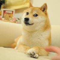 The Doge NFT|DOG_DOG价格_DOG最新价格_DOG交易所
