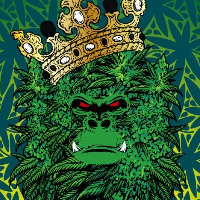 Non-Fungible TOKE|TOKE_TOKE价格_TOKE最新价格_TOKE交易所
