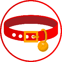 Dog Collar|COLLAR_COLLAR价格_COLLAR最新价格_COLLAR交易所