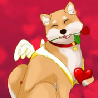 ValentineDoge|VDOGE_VDOGE价格_VDOGE最新价格_VDOGE交易所