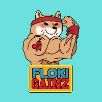 FlokiGainz|GAINZ_GAINZ价格_GAINZ最新价格_GAINZ交易所