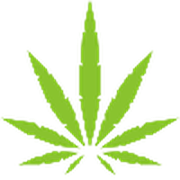 CBD Health Network|CHN_CHN价格_CHN最新价格_CHN交易所