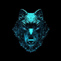 Kori Inu|KORI_KORI价格_KORI最新价格_KORI交易所