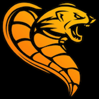 CobraGoose|CBG_CBG价格_CBG最新价格_CBG交易所