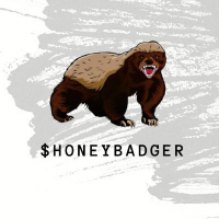 HoneyBadger|HONEYBADGER_HONEYBADGER价格_HONEYBADGER最新价格_HONEYBADGER交易所